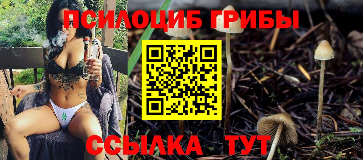 Галлюциногенные грибы прущие грибы Кушва